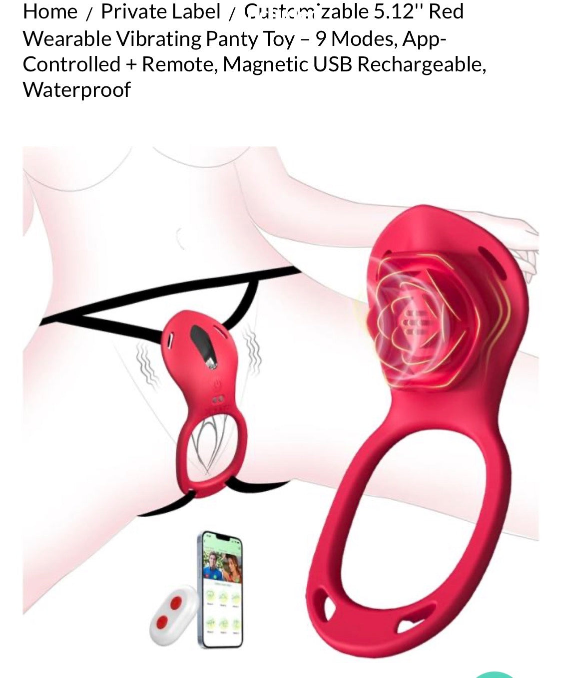 Secret couples vibrator